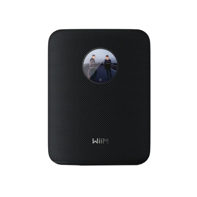WiiM Sound smart højttaler med skærm, sort