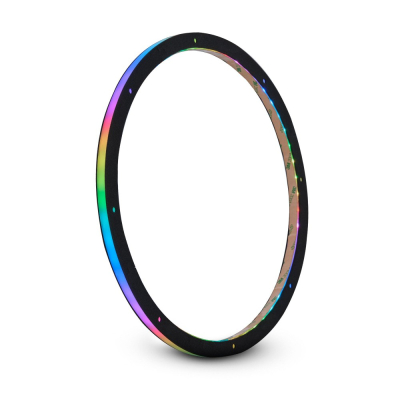 DS18 DLRING12, 12-tommers digital RGB LED-ring til højttalere/baser