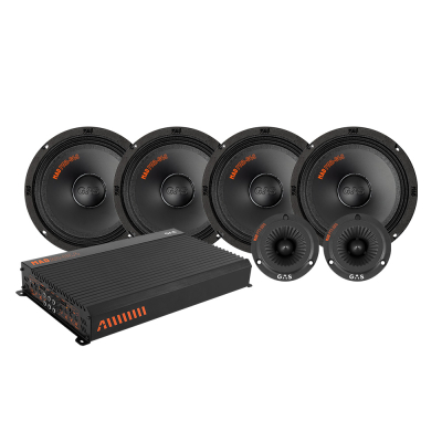 4-pack GAS MAD PM2-64S med PT1-254 og forstærker, SPL-pakke